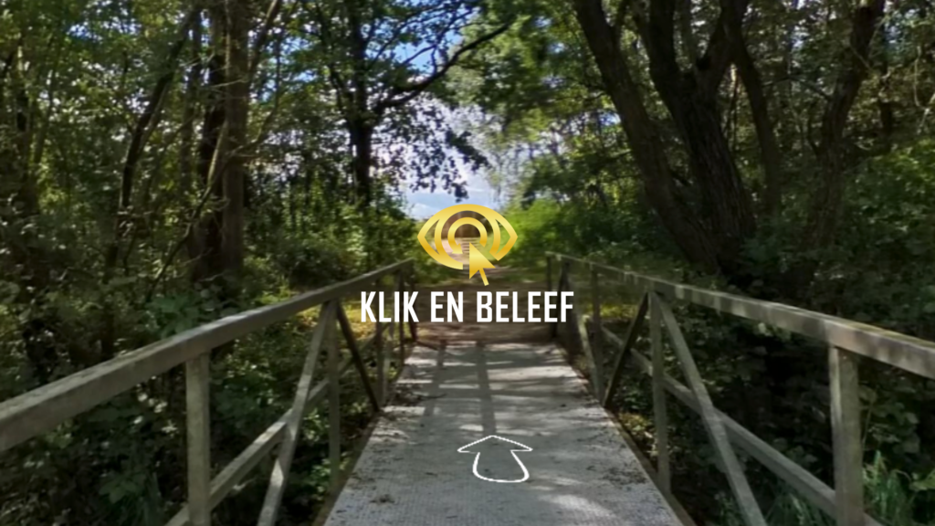 Bankhangen Lauwersmeer