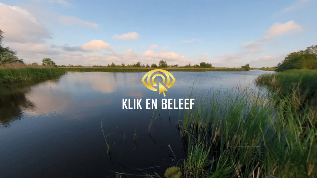 Butefjild