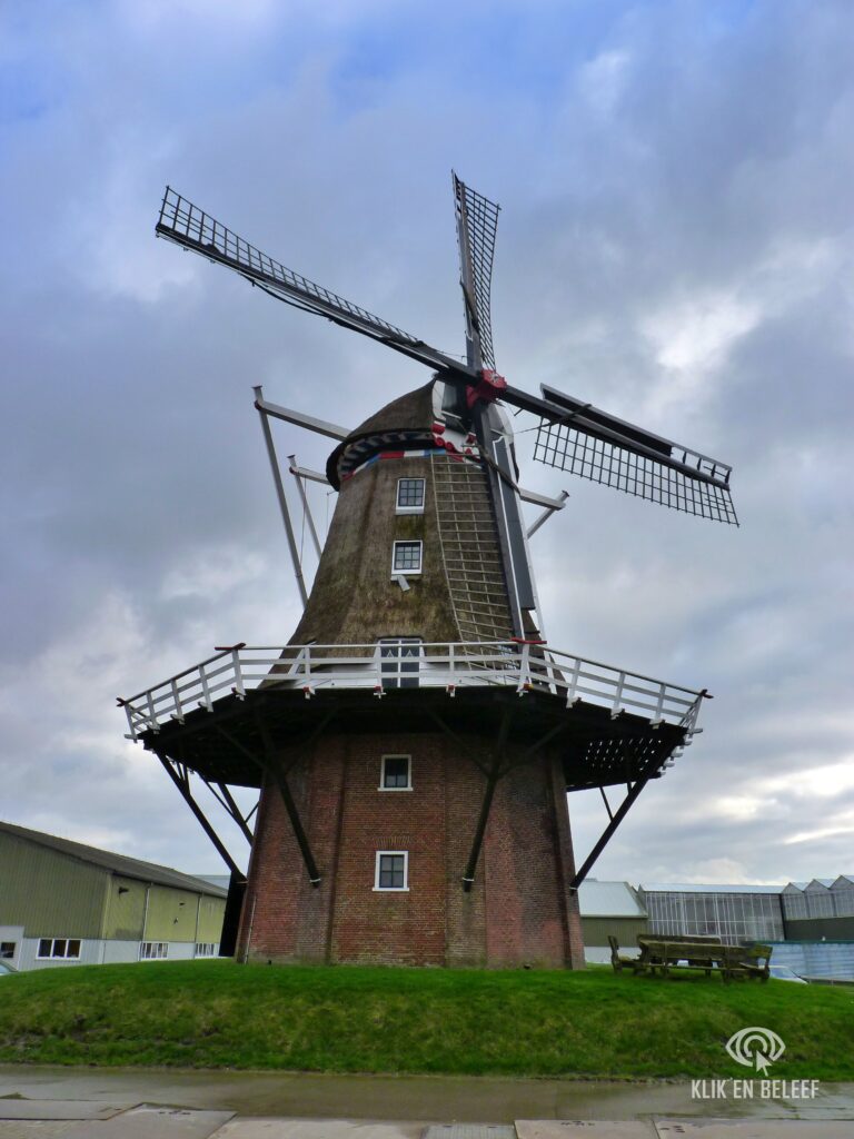 Molen Metslawier